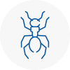Ant Removals In Paddington