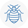 Bed Bug Extermination In Paddington