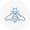Bee Nest Removal Paddington