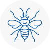 Paddington Hornet Nest Removals