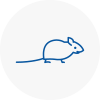 Mice Exterminators In Paddington