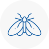 Moth Control Specialists In Paddington