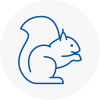 Paddington Rodent Removals