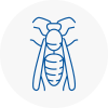 Paddington Wasp Nest Removal